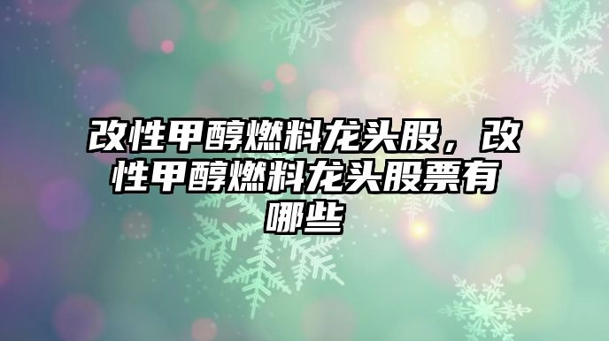 改性甲醇燃料龍頭股，改性甲醇燃料龍頭股票有哪些