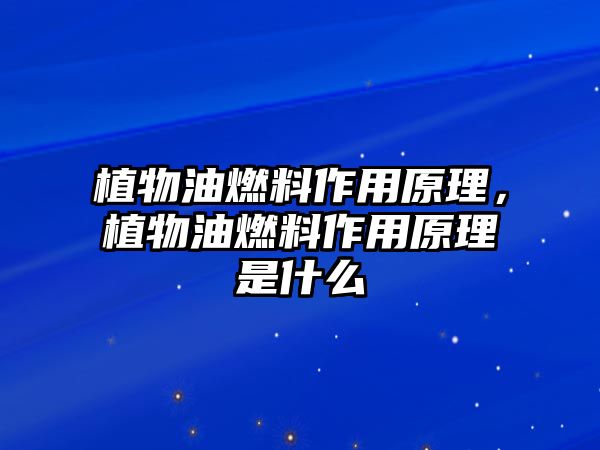 植物油燃料作用原理，植物油燃料作用原理是什么