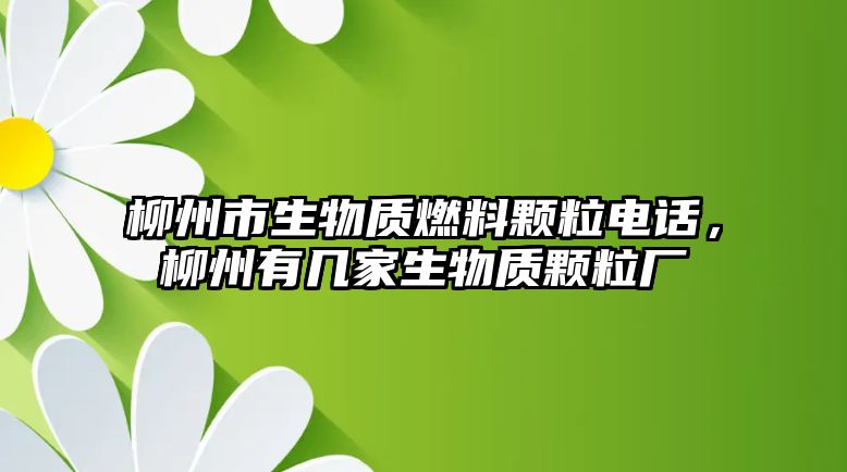 柳州市生物質(zhì)燃料顆粒電話，柳州有幾家生物質(zhì)顆粒廠