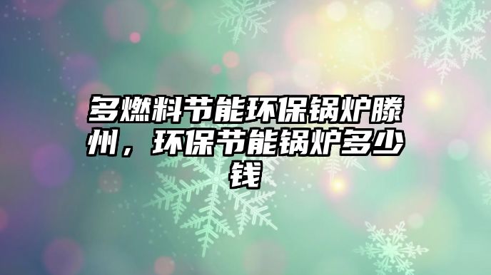 多燃料節(jié)能環(huán)保鍋爐滕州，環(huán)保節(jié)能鍋爐多少錢