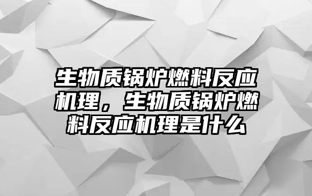 生物質(zhì)鍋爐燃料反應(yīng)機理，生物質(zhì)鍋爐燃料反應(yīng)機理是什么