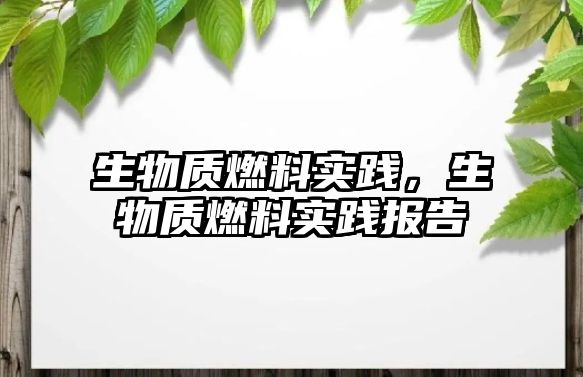 生物質(zhì)燃料實(shí)踐，生物質(zhì)燃料實(shí)踐報告