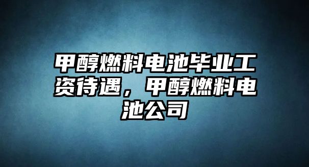 甲醇燃料電池畢業(yè)工資待遇，甲醇燃料電池公司