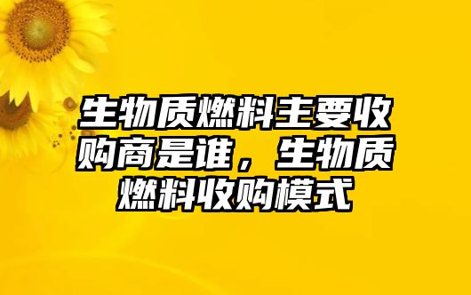 生物質(zhì)燃料主要收購商是誰，生物質(zhì)燃料收購模式