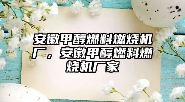 安徽甲醇燃料燃燒機廠，安徽甲醇燃料燃燒機廠家