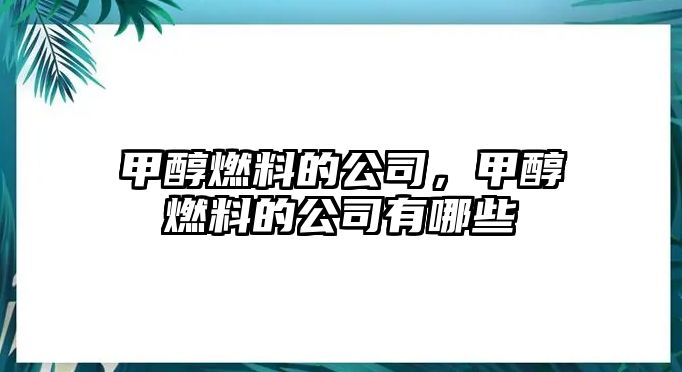 甲醇燃料的公司，甲醇燃料的公司有哪些