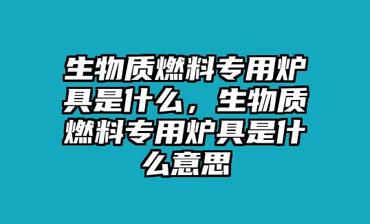 生物質(zhì)燃料專用爐具是什么，生物質(zhì)燃料專用爐具是什么意思