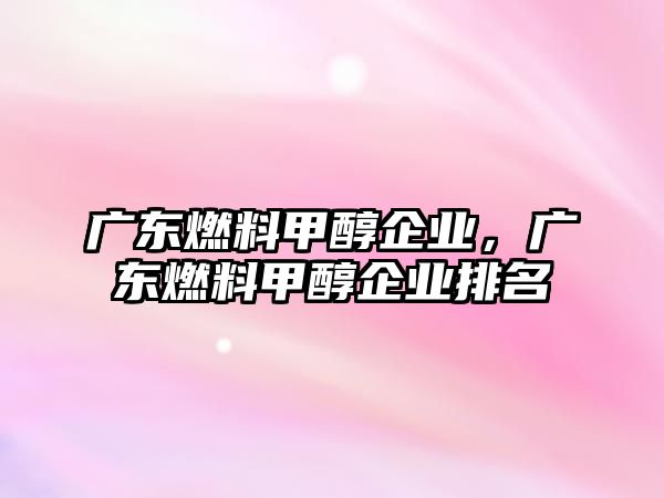 廣東燃料甲醇企業(yè)，廣東燃料甲醇企業(yè)排名