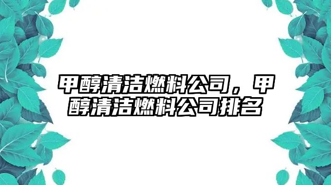 甲醇清潔燃料公司，甲醇清潔燃料公司排名