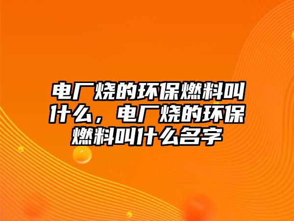 電廠燒的環(huán)保燃料叫什么，電廠燒的環(huán)保燃料叫什么名字