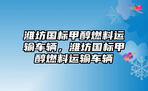 濰坊國標(biāo)甲醇燃料運(yùn)輸車輛，濰坊國標(biāo)甲醇燃料運(yùn)輸車輛