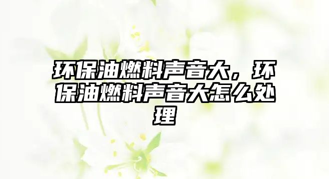 環(huán)保油燃料聲音大，環(huán)保油燃料聲音大怎么處理