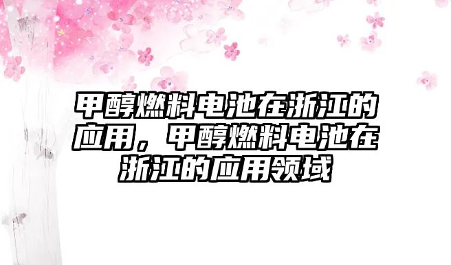 甲醇燃料電池在浙江的應(yīng)用，甲醇燃料電池在浙江的應(yīng)用領(lǐng)域