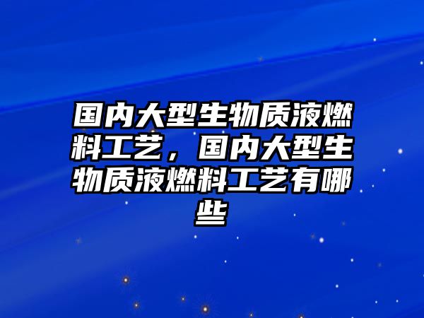 國內(nèi)大型生物質(zhì)液燃料工藝，國內(nèi)大型生物質(zhì)液燃料工藝有哪些