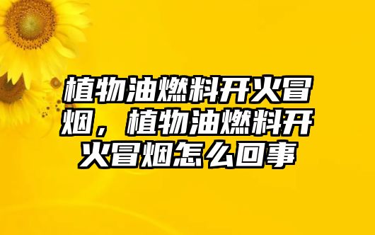 植物油燃料開火冒煙，植物油燃料開火冒煙怎么回事