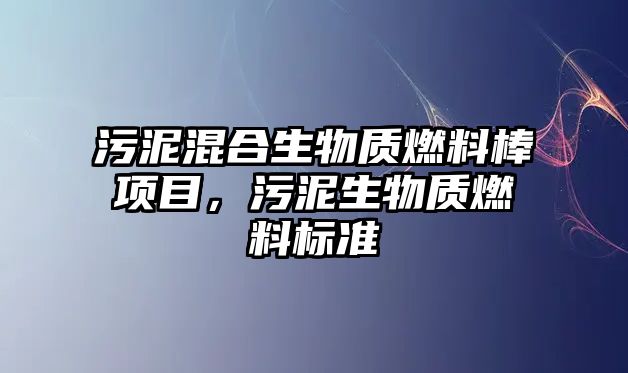 污泥混合生物質(zhì)燃料棒項(xiàng)目，污泥生物質(zhì)燃料標(biāo)準(zhǔn)