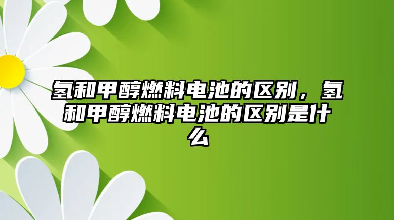 氫和甲醇燃料電池的區(qū)別，氫和甲醇燃料電池的區(qū)別是什么