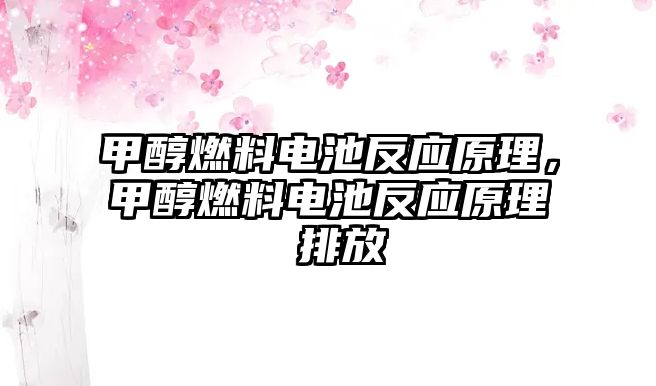 甲醇燃料電池反應原理，甲醇燃料電池反應原理 排放