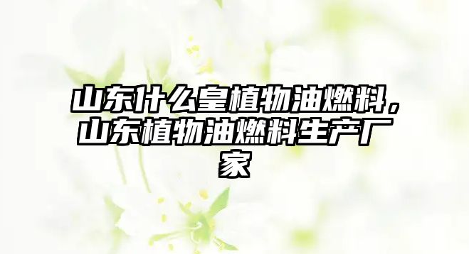 山東什么皇植物油燃料，山東植物油燃料生產(chǎn)廠家