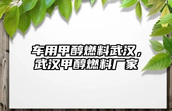 車用甲醇燃料武漢，武漢甲醇燃料廠家