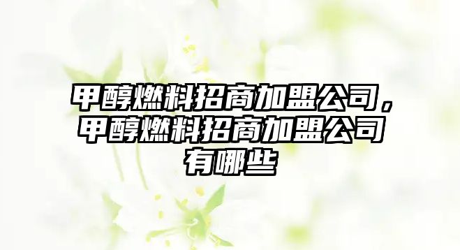 甲醇燃料招商加盟公司，甲醇燃料招商加盟公司有哪些