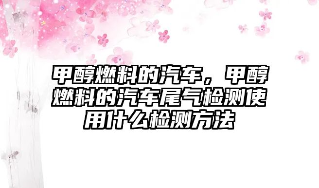 甲醇燃料的汽車，甲醇燃料的汽車尾氣檢測(cè)使用什么檢測(cè)方法