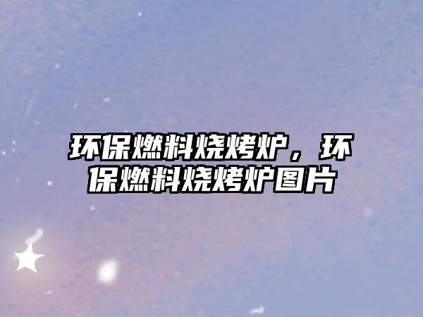 環(huán)保燃料燒烤爐，環(huán)保燃料燒烤爐圖片