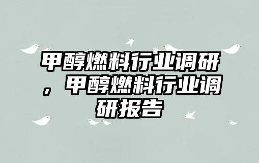 甲醇燃料行業(yè)調(diào)研，甲醇燃料行業(yè)調(diào)研報(bào)告