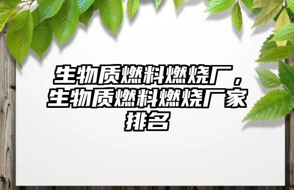 生物質燃料燃燒廠，生物質燃料燃燒廠家排名