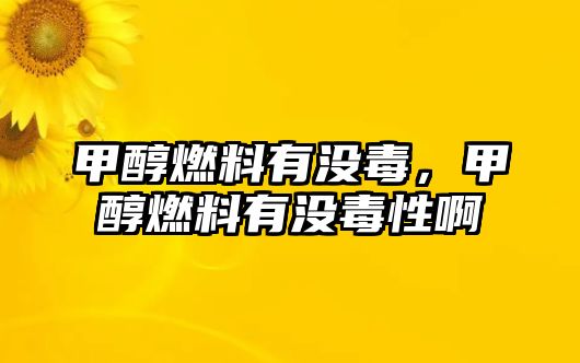 甲醇燃料有沒毒，甲醇燃料有沒毒性啊