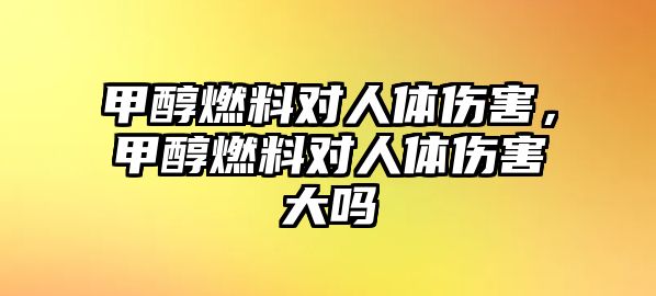 甲醇燃料對人體傷害，甲醇燃料對人體傷害大嗎