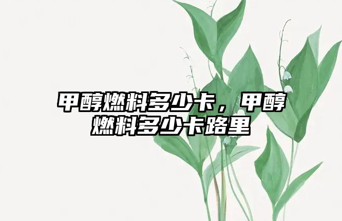 甲醇燃料多少卡，甲醇燃料多少卡路里