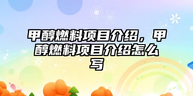 甲醇燃料項目介紹，甲醇燃料項目介紹怎么寫