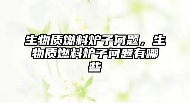 生物質(zhì)燃料爐子問(wèn)題，生物質(zhì)燃料爐子問(wèn)題有哪些