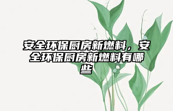 安全環(huán)保廚房新燃料，安全環(huán)保廚房新燃料有哪些