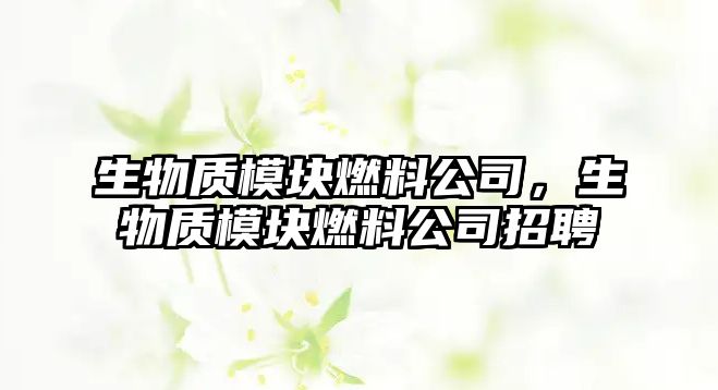 生物質模塊燃料公司，生物質模塊燃料公司招聘