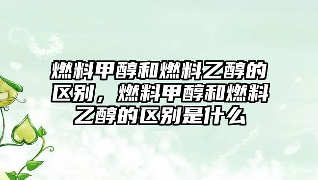 燃料甲醇和燃料乙醇的區(qū)別，燃料甲醇和燃料乙醇的區(qū)別是什么