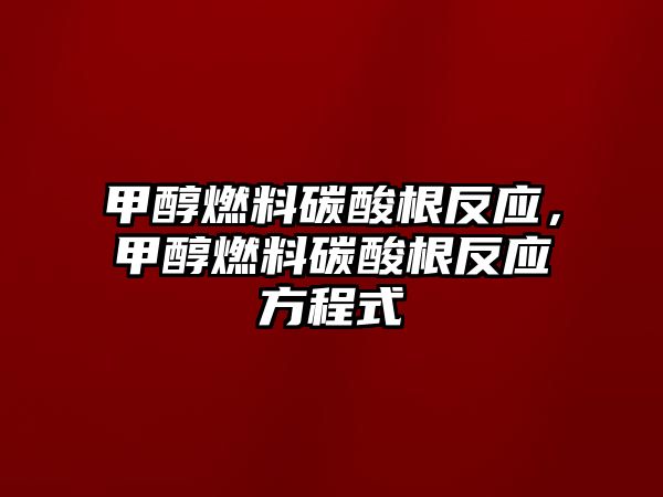 甲醇燃料碳酸根反應，甲醇燃料碳酸根反應方程式