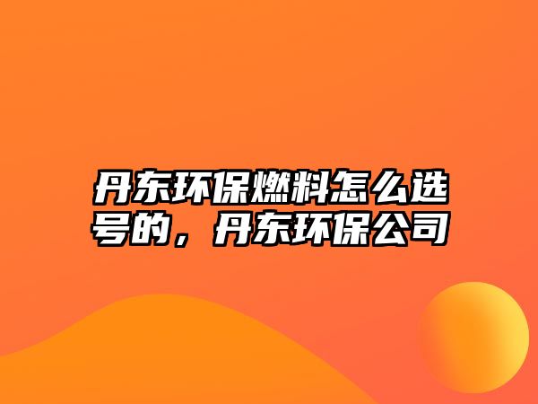 丹東環(huán)保燃料怎么選號(hào)的，丹東環(huán)保公司