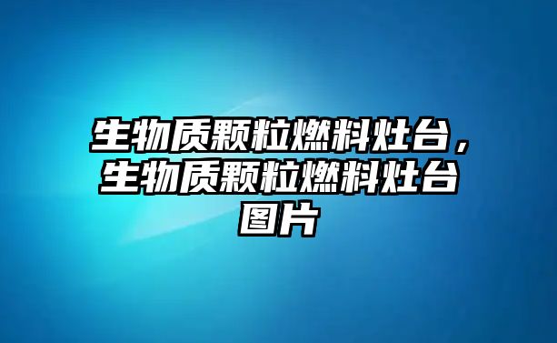 生物質(zhì)顆粒燃料灶臺，生物質(zhì)顆粒燃料灶臺圖片