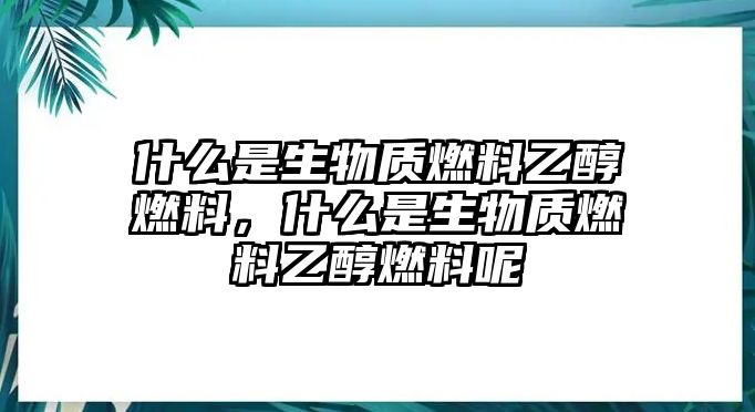 什么是生物質(zhì)燃料乙醇燃料，什么是生物質(zhì)燃料乙醇燃料呢