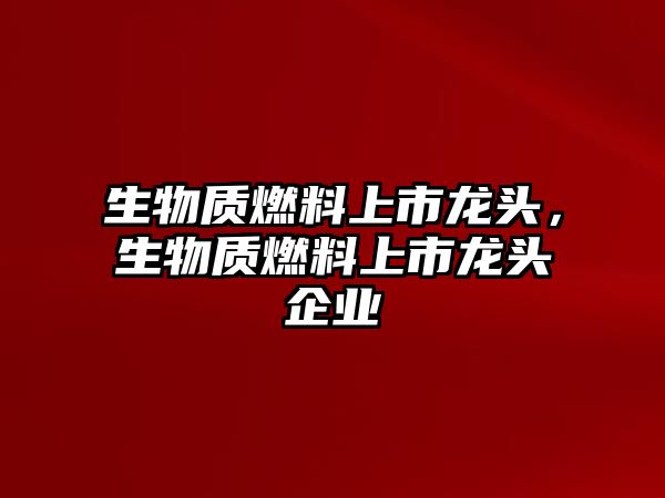 生物質(zhì)燃料上市龍頭，生物質(zhì)燃料上市龍頭企業(yè)