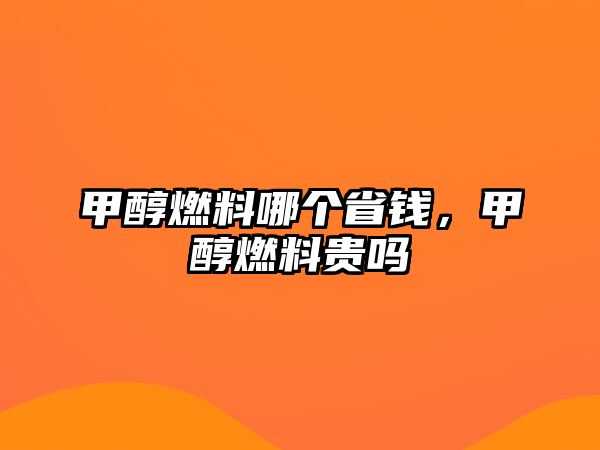 甲醇燃料哪個省錢，甲醇燃料貴嗎