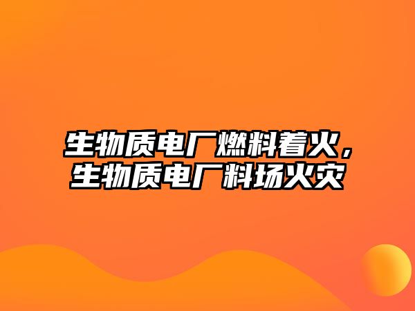 生物質(zhì)電廠燃料著火，生物質(zhì)電廠料場火災(zāi)