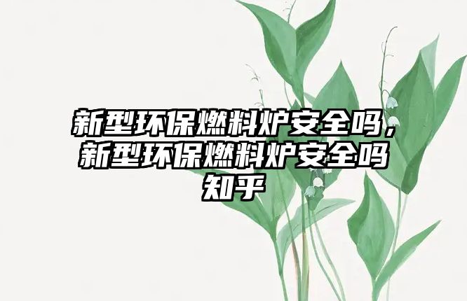 新型環(huán)保燃料爐安全嗎，新型環(huán)保燃料爐安全嗎知乎