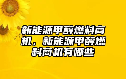 新能源甲醇燃料商機(jī)，新能源甲醇燃料商機(jī)有哪些