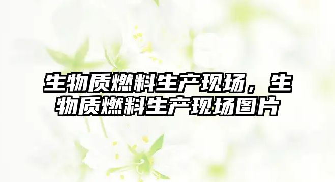 生物質(zhì)燃料生產(chǎn)現(xiàn)場(chǎng)，生物質(zhì)燃料生產(chǎn)現(xiàn)場(chǎng)圖片