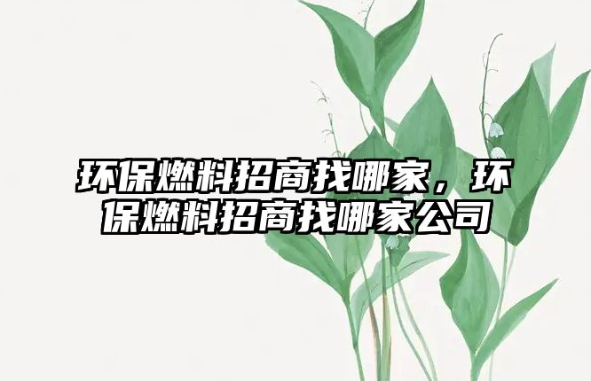 環(huán)保燃料招商找哪家，環(huán)保燃料招商找哪家公司