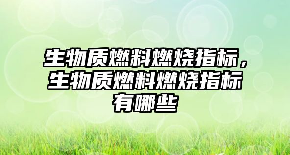 生物質(zhì)燃料燃燒指標，生物質(zhì)燃料燃燒指標有哪些