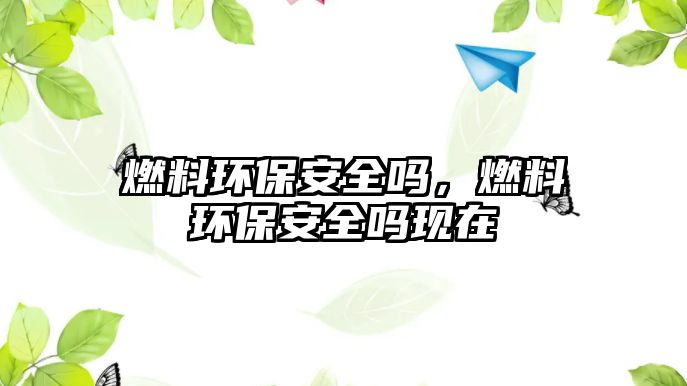 燃料環(huán)保安全嗎，燃料環(huán)保安全嗎現(xiàn)在